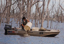 A fisheries officer releases fish stock