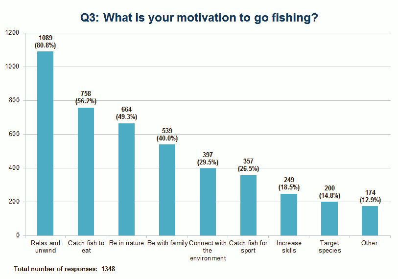 What is your motivation?