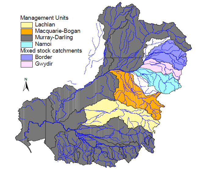 Map showing Management Units: Lachlan, Macquarie-Bogan, Murray-Darling,Namoi. Mixed Stock Catchments: Border,Gwydir.