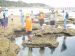 Rockpooling at Point Lonsdale